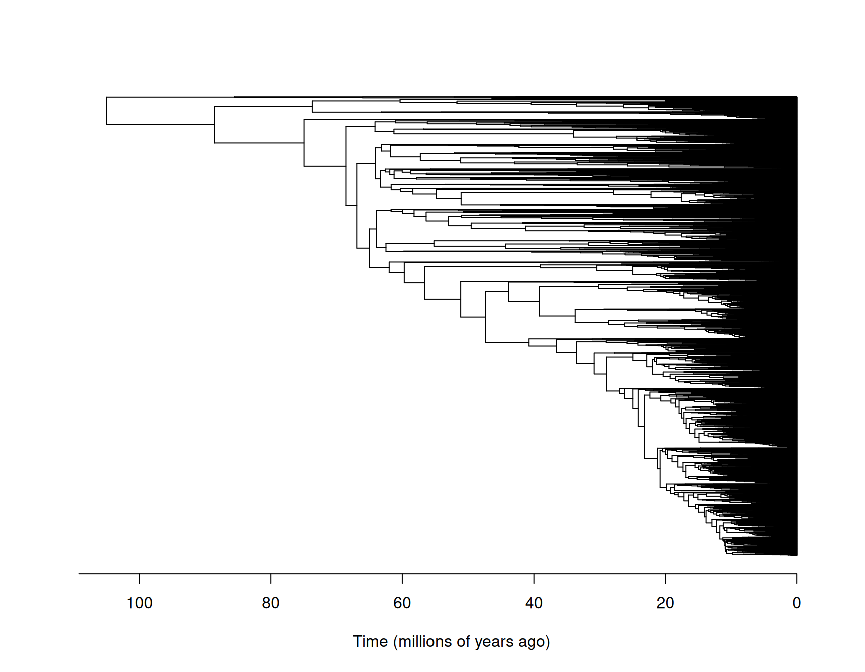 The phylogeny of the world's birds with species names omitted for legibility. I have had to guess what units time has been measured in due to lack of documentation.