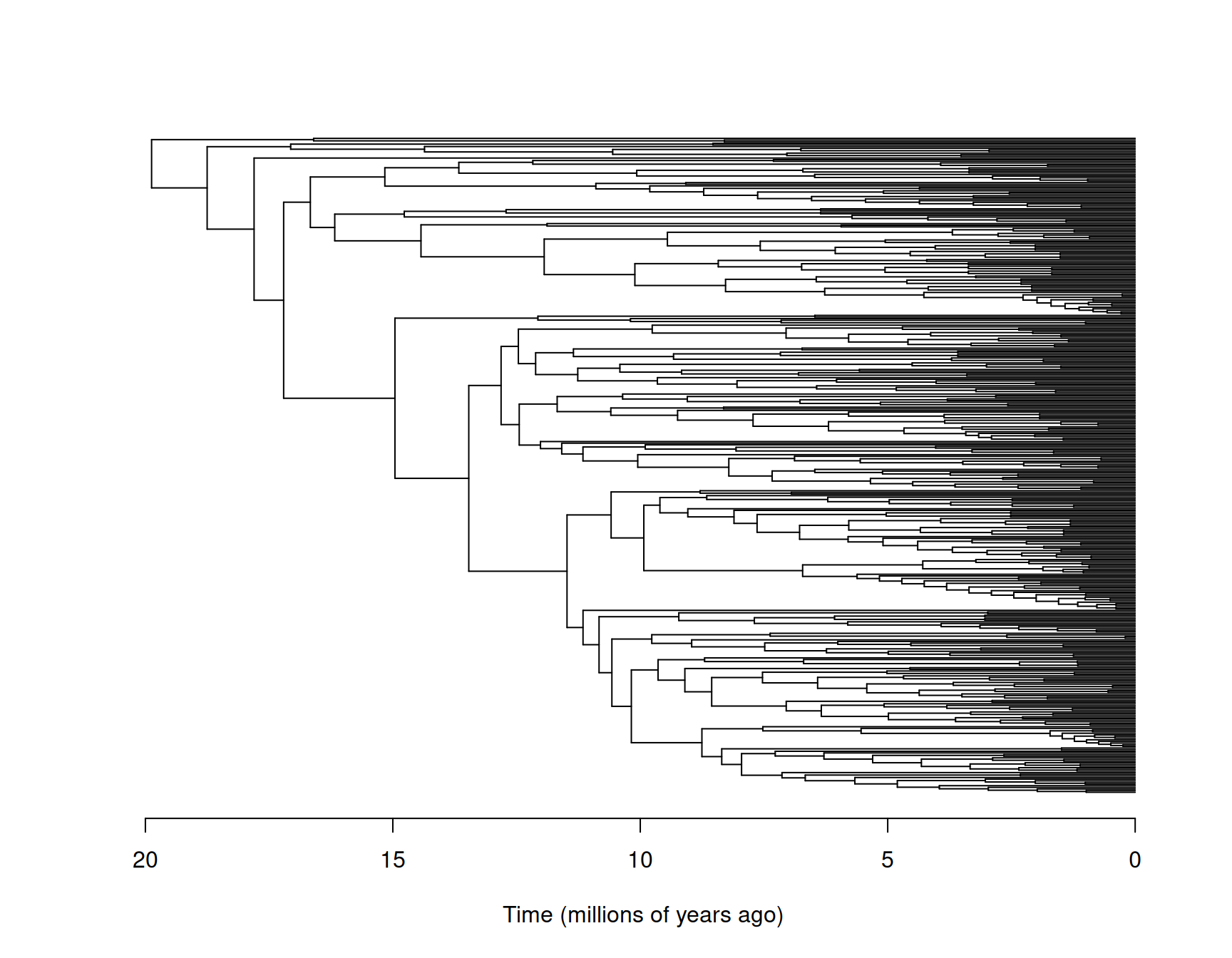 The phylogeny of the Tyrant flycatchers with species names omitted for legibility.